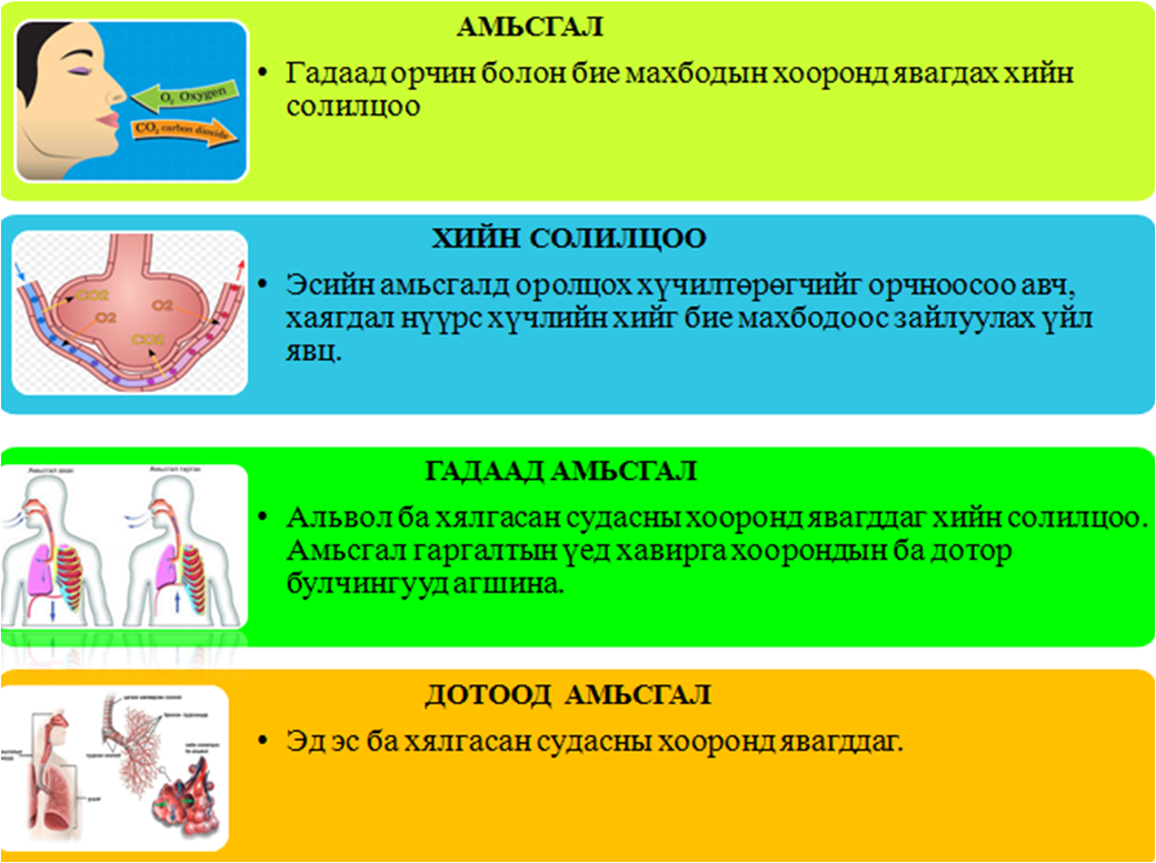 Мэдлээ | Цахим контент